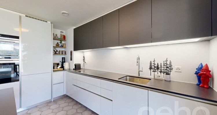 Appartement 4,5 pièces avec généreux espaces extérieurs et jardin image 7