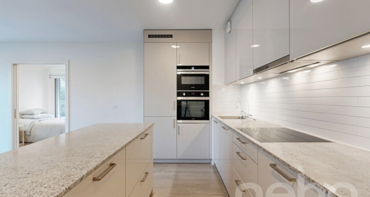 Appartement neuf avec jardin et accès au lac image 4