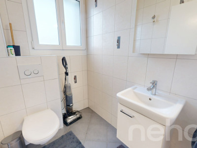 Grand Attique avec terrasse de 60m² et vue sur les montagnes. image 12