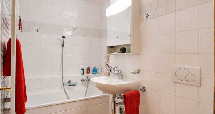 Magnifique appartement (3.5 + 2.5 pièces) aux bains de Val-dIlliez image 11