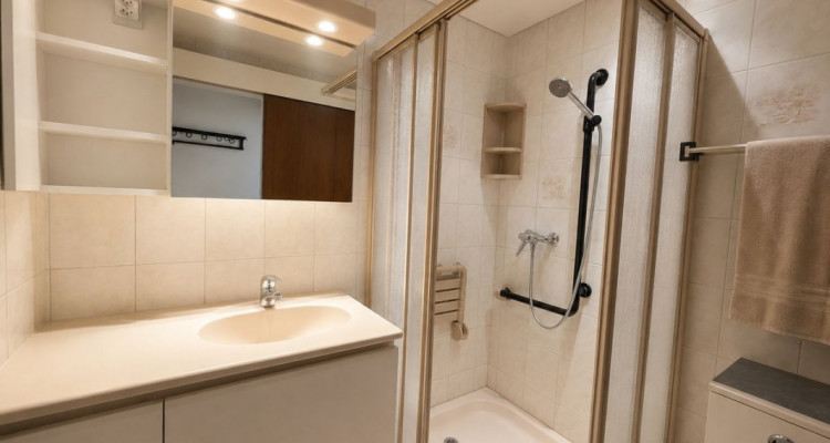 Appartement spacieux de 4,5 pièces avec 1 garage box image 8