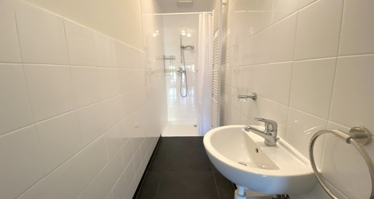 Bel appartement de 3.5 pièces denv. 100 m2 avec jardin image 12