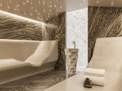 Trois magnifiques villas, prestations Luxe(La Capite-Cologny-Choulex) image 10