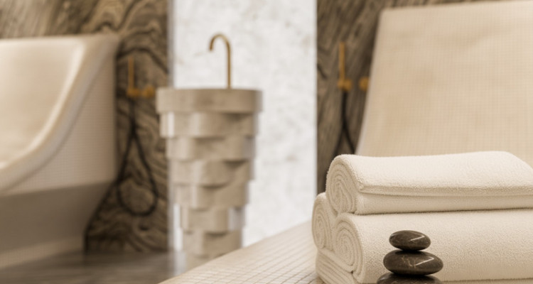 Trois magnifiques villas, prestations Luxe(La Capite-Cologny-Choulex) image 9