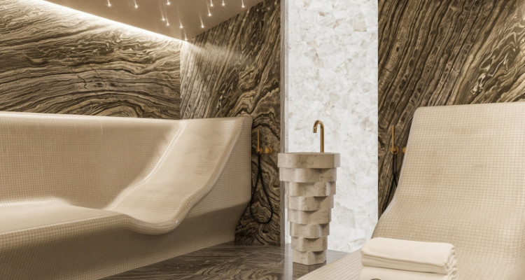 Trois magnifiques villas, prestations Luxe(La Capite-Cologny-Choulex) image 10
