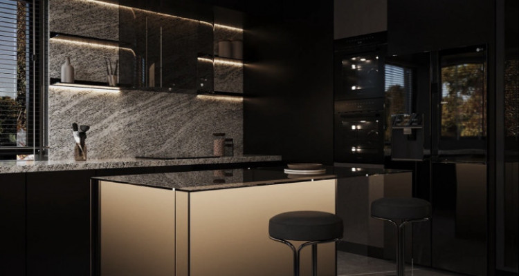 Deluxe edition, magnifique villa, prestations Luxe(La Capite-Cologny-Choulex) image 11
