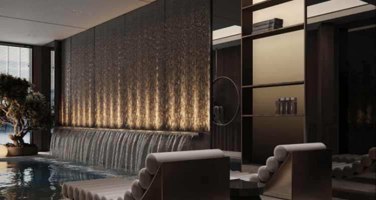 Deluxe edition, magnifique villa, prestations Luxe(La Capite-Cologny-Choulex) image 12