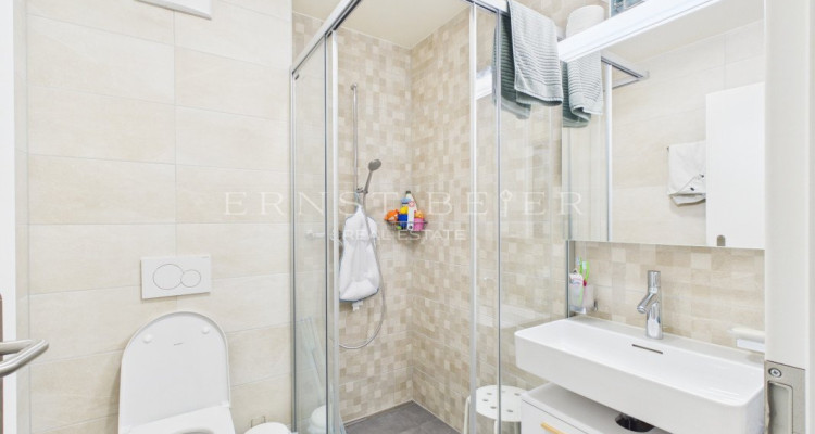 Appartement 3.5 pièces, jardin privatif et vue dégagée sur les montagnes image 9