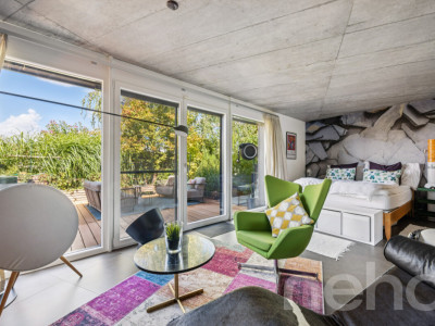 Villa contemporaine avec studio indépendant aux portes de Lausanne image 7