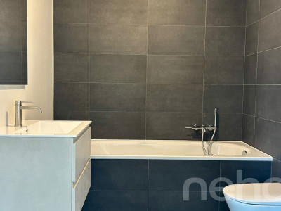DUPLEX CONTEMPORAIN LUMINEUX, M1 ET EPFL À QUELQUES PAS image 8