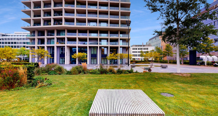 Die Skyline von Zürich image 2