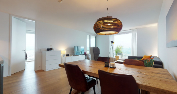 Die Skyline von Zürich image 8