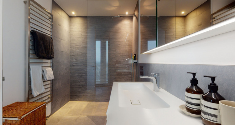 Die Skyline von Zürich image 9