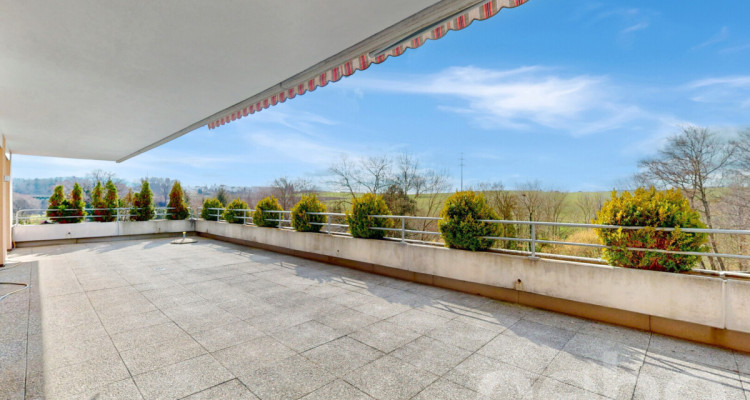 Grosszügige 5.5-Zimmer Terrassenwohnung in Düdingen image 7