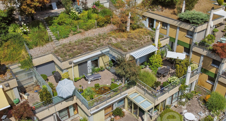 4.5 Zimmer Terrassenhaus mit Traumaussicht in Utzigen image 2