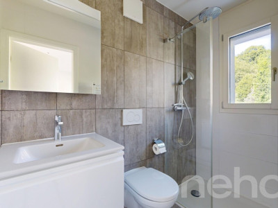 3.5pcs en parfait état, grande terrasse et proximité immédiate du CHUV image 9