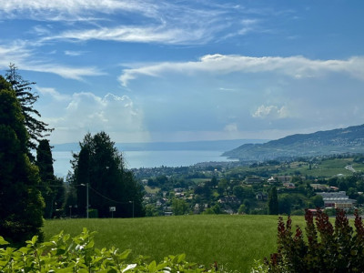 Belle et très spacieuse villa d’architecte, 12 pces, 2800 m2 terrain intimiste,  image 13