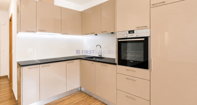 Villars - Chesières - PPE LOT L - CHF 410000.- image 3