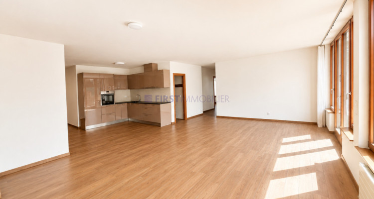 Villars - Chesières - PPE LOT N - CHF 650000.- image 7