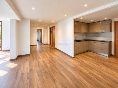 Villars - Chesières - PPE LOT P - CHF 585000.- image 1