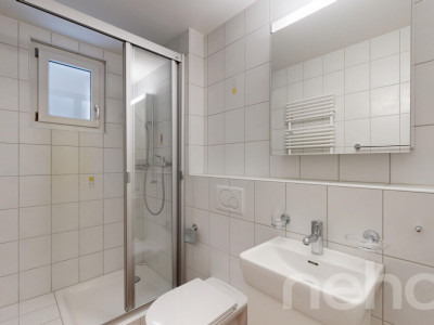 5.5-Zimmer-Reihenhaus in Allschwil - Wohnen zwischen Stadt und Natur image 8
