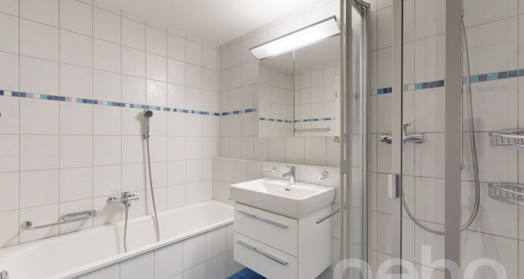 5.5-Zimmer-Reihenhaus in Allschwil - Wohnen zwischen Stadt und Natur image 9