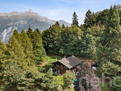 Les Giettes ? Chalet de caractère sur un terrain dexception image 1