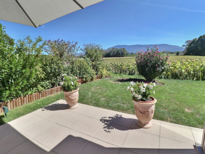 Magnifique appartement en rez de jardin vue dégagée sur la campagne en viager occupé sans rente image 5