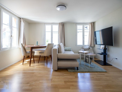 Moderne, möblierte 2.5-Zimmer-Business-Suite in Romanshorn image 1
