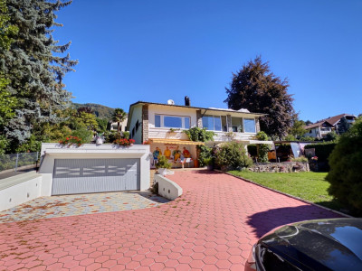 Maison en viager occupé sans rente avec vue Lac image 1