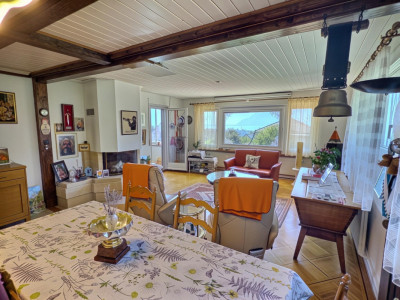 Maison en viager occupé sans rente avec vue Lac image 6