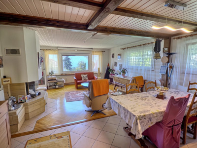 Maison en viager occupé sans rente avec vue Lac image 7