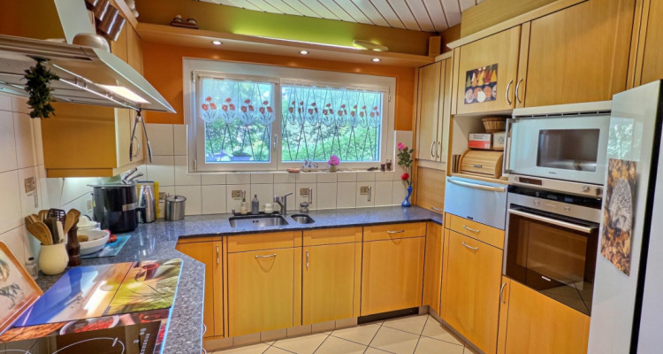 Maison en viager occupé sans rente avec vue Lac image 5
