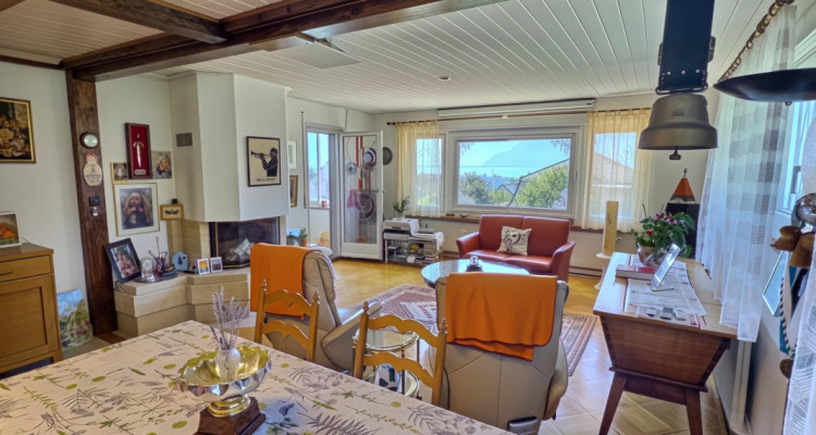 Maison en viager occupé sans rente avec vue Lac image 6