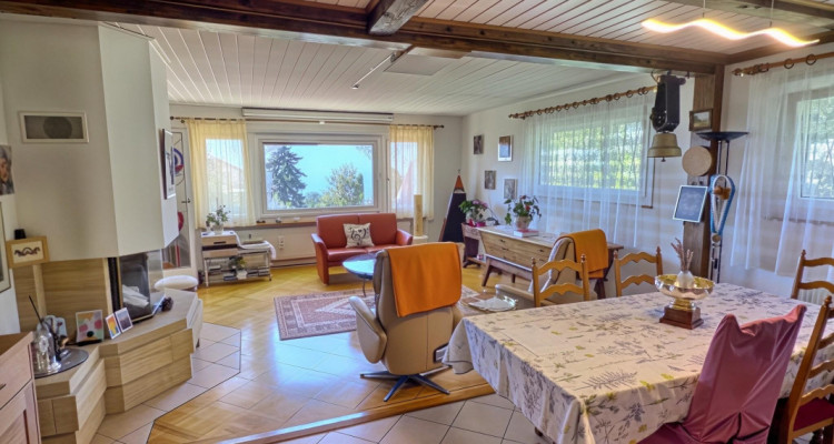 Maison en viager occupé sans rente avec vue Lac image 7