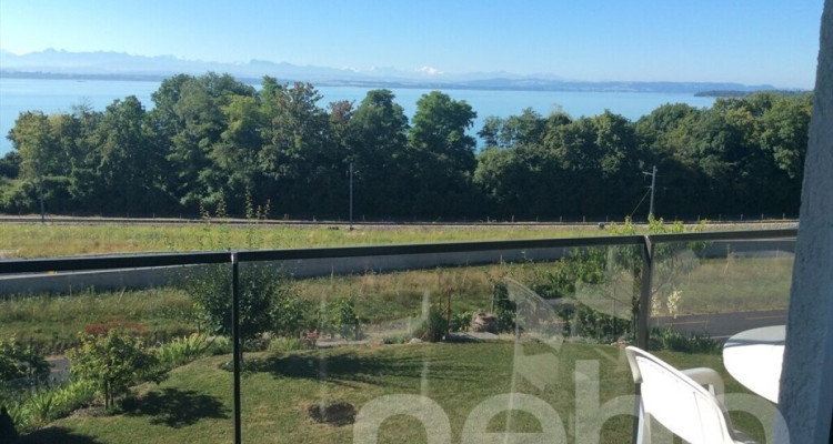 Deux maisons sur cette magnifique parcelle avec vue sur le lac! image 4