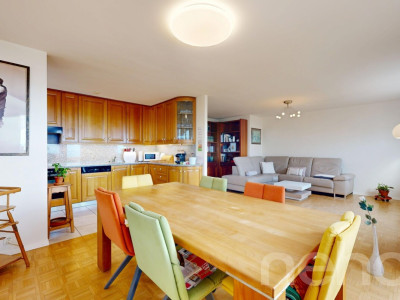 Appartement 4,5 pièces vue panoramique sur le lac image 4