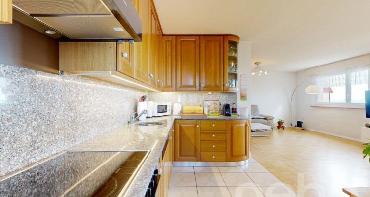 Appartement 4,5 pièces vue panoramique sur le lac image 5