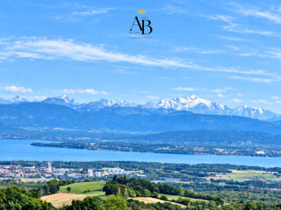 Blue Horizon, appartement contemporain 5,5 pièces, vue lac et Mont Blanc image 5