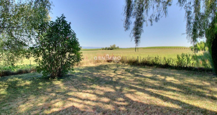 Maison individuelle au coeur de la campagne genevoise image 1