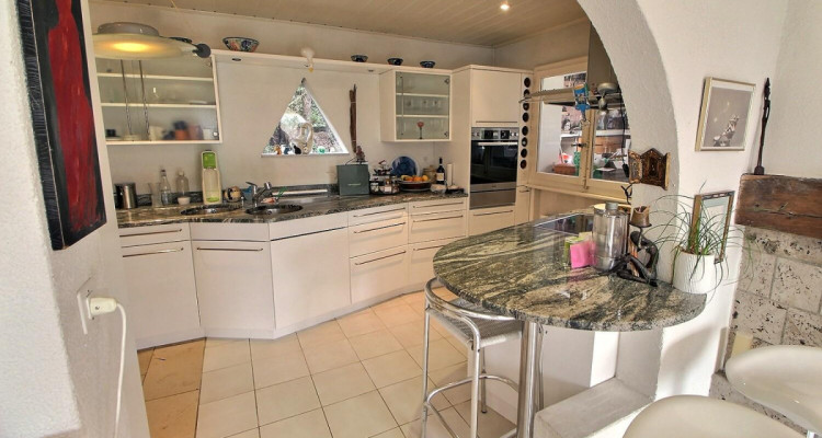 Superbe maison individuelle avec vue Lac en viager occupé sans rente image 1