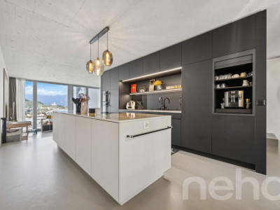 6.5-Zimmer-Townhouse im Uptown Mels mit Panoramablick image 3