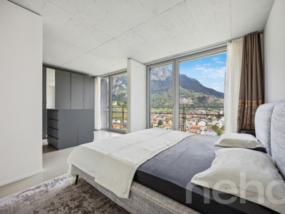 6.5-Zimmer-Townhouse im Uptown Mels mit Panoramablick image 5
