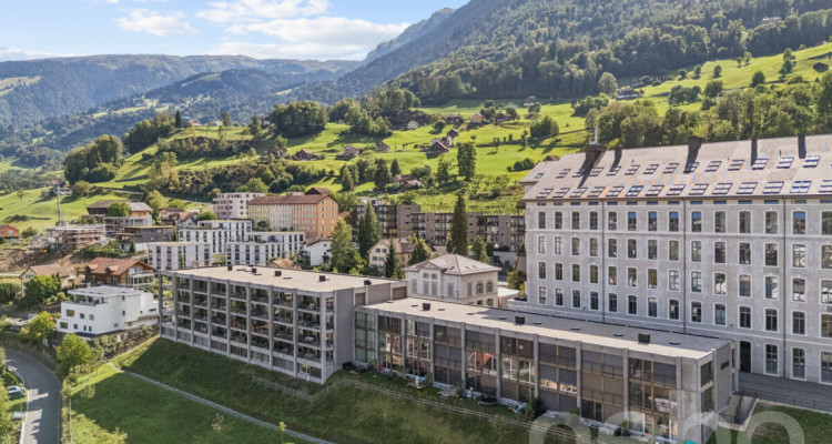 6.5-Zimmer-Townhouse im Uptown Mels mit Panoramablick image 1