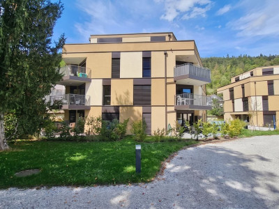 Joli appartement de 2,5 pièces avec terrasses et jardin à Couvet image 13