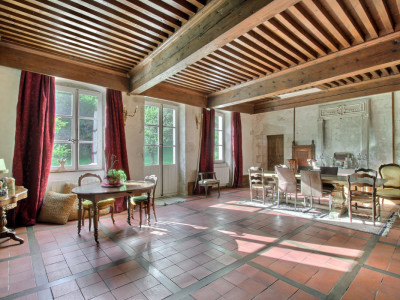 Château du XIIᵉ siècle à 45 min. de Genève image 7