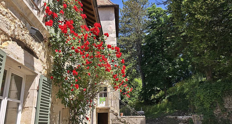 Château du XIIᵉ siècle à 45 min. de Genève image 3