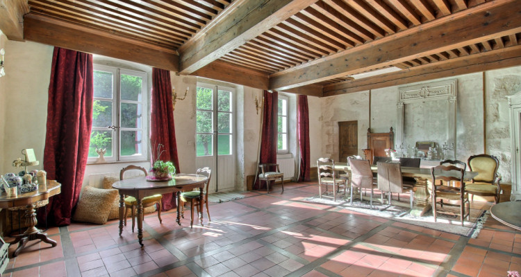 Château du XIIᵉ siècle à 45 min. de Genève image 7