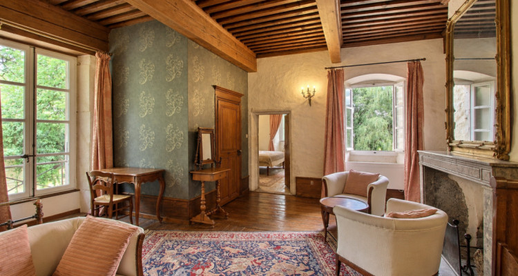 Château du XIIᵉ siècle à 45 min. de Genève image 8