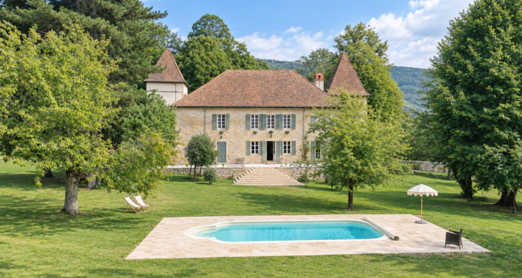 Château du XIIᵉ siècle à 45 min. de Genève image 1